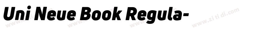 Uni Neue Book Regula字体转换
